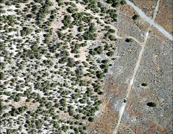 Onaqui NEON Field Site