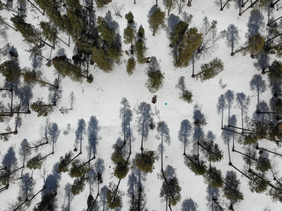 Payson Snow Pack